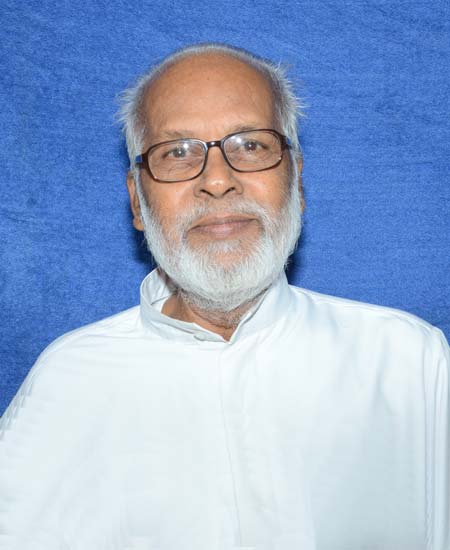 Chalapat Michael msfs