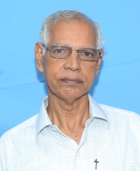 Fr Perumalil Thomas msfs