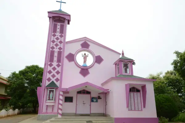palasa